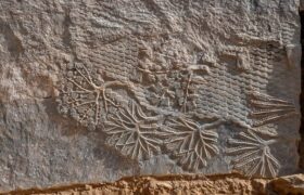 کشف سنگ‌نگاره‌های آشوری در نینوا